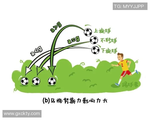 足球神级前锋的传奇之路与技术解析揭秘球场上的进攻艺术